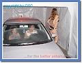drive inn strip show_0000008